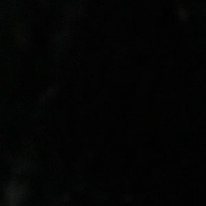 Meet your Posher, Martha